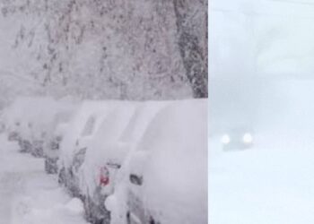 US Winter Storm 2026: अमेरिका में बर्फीले तूफान से तबाही, 29 मौतें और 6 लाख घरों की बिजली गुल | US Winter Storm 2026 updates 29 dead 6 lakh homes without power arctic blast