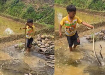 Viral Video: ये बच्चा तो खतरों का खिलाड़ी निकला! सांप से लगा खेलने, हिम्मत देख दंग रह गए लोग