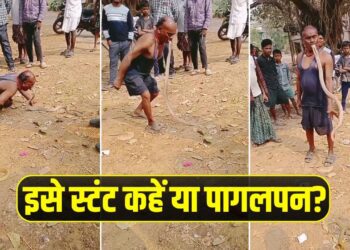 Viral Video: शख्स ने मुंह से दबोचा जिंदा किंग कोबरा, रोंगटे खड़े कर देगा यह वायरल वीडियो
