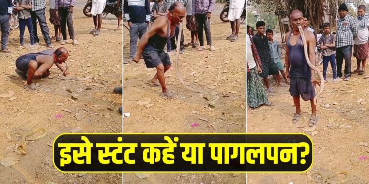 Viral Video: शख्स ने मुंह से दबोचा जिंदा किंग कोबरा, रोंगटे खड़े कर देगा यह वायरल वीडियो