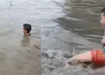 Viral Video: नदी में आराम फरमा रहे बच्चे पर मगरमच्छ ने किया हमला, अंत हुआ कुछ ऐसा देखकर हलक में आ जाएगा कलेजा