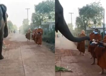 Viral Video: गजराज ने राह चलते बौद्ध भिक्षुओं से वसूला ‘टोल टैक्स’, दिल छू लेगा ये क्यूट वीडियो