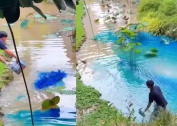 Viral: रिजोर्ट में प्रकृति के जादू से नहीं कैमिकल के कमाल से नीला होता है पानी, सामने आया ये चौंकाने वाला वीडियो