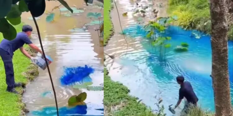 Viral: रिजोर्ट में प्रकृति के जादू से नहीं कैमिकल के कमाल से नीला होता है पानी, सामने आया ये चौंकाने वाला वीडियो