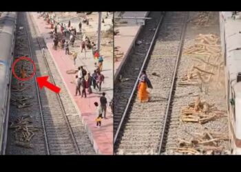 लकड़ी के लट्ठे से टकराई ट्रेन और फिर दिखा ऐसा सीन, मंजर देख खड़े हो जाएंगे आपके रोंगटे