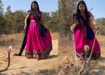 Viral Video: सज-धज कर कोबरा के सामने पहुंची लड़की, फिर जो हुआ…देखकर चौंक जाएंगे आप