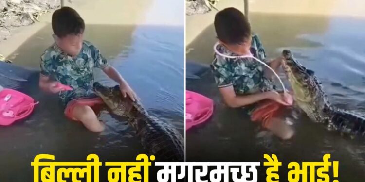 मगरमच्छ बना मरीज, बच्चा बना डॉक्टर! वायरल वीडियो देख उड़ जाएंगे होश