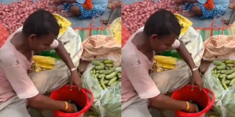 OMG! कैमरे के सामने चलता रहा खेल, हरे घोल से खीरों को ताजा बनाता दिखा सब्जीवाला, वीडियो देखकर भड़के लोग