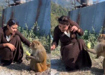 Viral Video: लड़की ने बढ़ाया दोस्ती का हाथ, बंदर ने कर दिया कुछ ऐसा कि छूट गई हंसी
