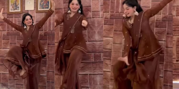 Viral Video: सरारा पहनकर लड़की ने किया धमाकेदार डांस, चेहरे की मुस्कान और जबरदस्त स्टेप्स, भांगड़े ने जीता सबका दिल