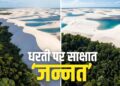 सपनों जैसी है ये ‘जादुई’ दुनिया, जहां रेत के समंदर से सीधे जंगल में पहुंच जाएंगे!