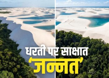 सपनों जैसी है ये ‘जादुई’ दुनिया, जहां रेत के समंदर से सीधे जंगल में पहुंच जाएंगे!
