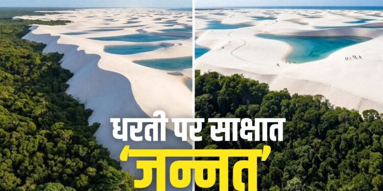 सपनों जैसी है ये ‘जादुई’ दुनिया, जहां रेत के समंदर से सीधे जंगल में पहुंच जाएंगे!