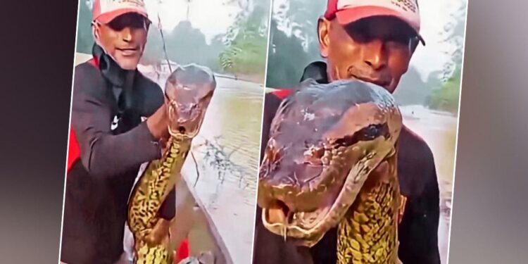 रूह कंपा देगा ये Video; जब मछुआरे के जाल में फंसा इंसानों को निगलने वाला विशालकाय सांप!