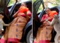 ‘यही मेरी असली कमाई है’…76 साल की रिटायर्ड पुलिस अफसर, जो बनीं सैकड़ों बंदरों की ‘मां’; देखें वीडियो