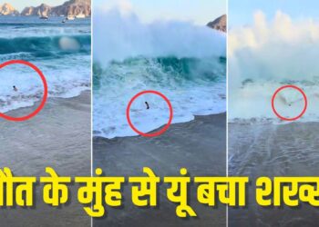 समंदर किनारे टहल रहा था शख्स, अचानक आई मौत जैसी लहर; रोंगटे खड़े कर देगा यह वायरल वीडियो