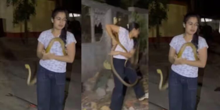 सांप देखते ही भागे लोग, महिला ने बिना डरे अकेले किया रेस्क्यू, खतरनाक कोबरा के सामने दिखाया साहस