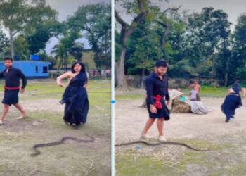 Viral Video: लाइक्स और व्यूज के लिए सांप के सामने किया डांस, फिर हुआ कुछ ऐसा, कैमरे में कैद हुआ खौफनाक मंजर