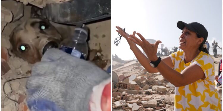 मलबे में जिंदगी की तलाश जारी, Venezuela में मौत का आंकड़ा पहुंचा 920, इमारत के ढेर से जिंदा निकली बच्ची | venezuela-earthquake-death-toll-920-relief-operation-latest-world-news-hindi