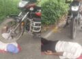 OMG! फेमस बनने की सनक में युवक ने पार की सारी हदें, कुछ सेकंड की फेम के लिए बंदे ने उठाया बड़ा जोखिम