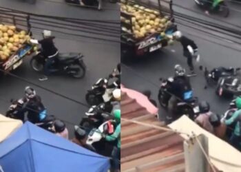 Viral Video: नारियल चुराने के चक्कर में बंदे की हुई ऐसी हालत, बीच सड़क देखने को मिला मजेदार तमाशा