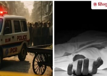 दिल्ली में बेटे ने बुजुर्ग मां को पीट-पीटकर मार डाला, फावड़े से भी अटैक, क्या वजह?, Ncr Hindi News