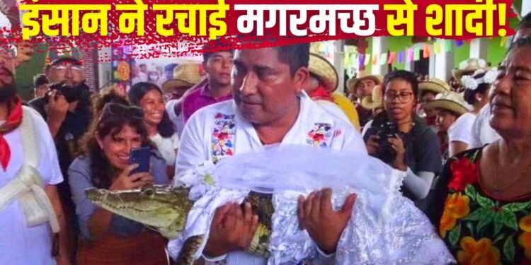 दुल्हन बनी मगरमच्छ, दूल्हा बना शहर का मेयर; वजह जानकर सिर पकड़ लेंगे आप!