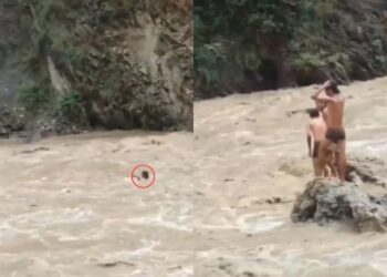 कुछ सेकंड का रोमांच बन सकता है बड़ा हादसा, वीडियो शेयर कर उत्तराखंड पुलिस ने दिया ये मैसेज