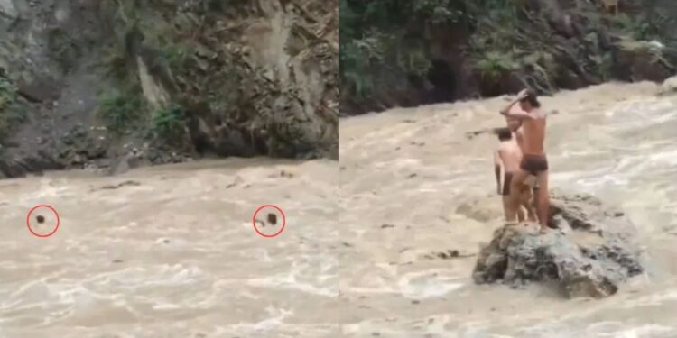 कुछ सेकंड का रोमांच बन सकता है बड़ा हादसा, वीडियो शेयर कर उत्तराखंड पुलिस ने दिया ये मैसेज