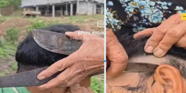 अरुणाचल की दादी के पास है अनोखा हुनर, मॉर्डन मशीन से नहीं चाकू से करती हैं हेयरकट