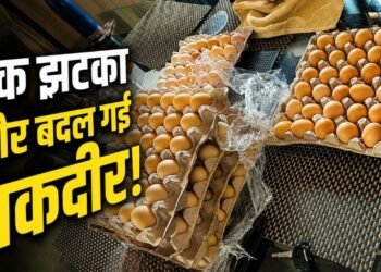 अमेजन ने निकाला तो शुरू किया पोल्ट्री फार्म, कॉर्पोरेट गर्ल की ऐसी छलांग कि दुनिया देख रह गई दंग!