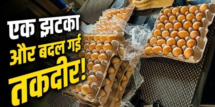 अमेजन ने निकाला तो शुरू किया पोल्ट्री फार्म, कॉर्पोरेट गर्ल की ऐसी छलांग कि दुनिया देख रह गई दंग!