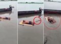 मगरमच्छ भी मान गया लोहा! नदी में बच्चे की ‘दबंगई’ देख फटी रह गईं लोगों की आंखें