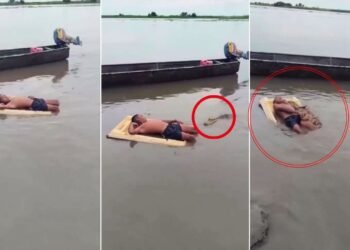 मगरमच्छ भी मान गया लोहा! नदी में बच्चे की ‘दबंगई’ देख फटी रह गईं लोगों की आंखें