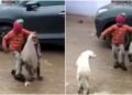 बारिश और कीचड़ में बहन की हिफाजत करता दिखा छोटा भाई, कुत्ते को भी दूर भगाया