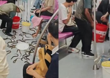 चीन की मेट्रो में ईल का आतंक! अचानक पैरों के पास रेंगने लगीं दर्जनों मछलियां