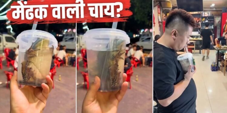 चाय में जिंदा मेंढक डालकर पी रहे चाइना वाले? सोशल मीडिया पर वायरल इस घिनौने वीडियो की सच्चाई उड़ा देगी होश
