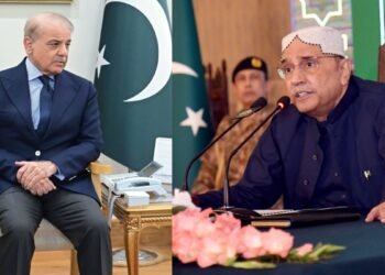 Pakistan Crisis: पाकिस्तान में फिर होगा तख्तापलट! राष्ट्रपति जरदारी और प्रधानमंत्री के बीच छिड़ी भयंकर जंग | pakistan constitutional crisis zardari pm shehbaz judges appointment standoff news hindi
