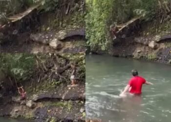 रस्सी पर झूल रहा था लड़का, तभी झाड़ी से निकला विशाल अजगर, फिर जो हुआ देख कांप जाएगी रूह!