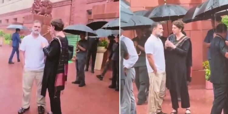 संसद में राहुल और प्रियंका का बारिश वाला अंदाज वायरल; सोशल मीडिया पर छिड़ी बहस, यूजर बोले- ‘दिखावा या सादगी?’