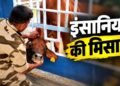 गेट में फंसा बेजुबान का सिर, मसीहा बनकर आया CISF जवान; दिल जीत रहा है रेस्क्यू का यह VIDEO