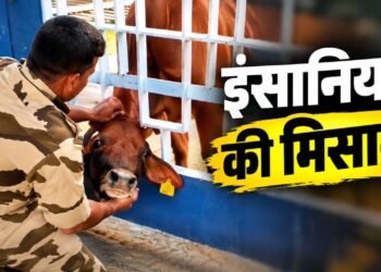 गेट में फंसा बेजुबान का सिर, मसीहा बनकर आया CISF जवान; दिल जीत रहा है रेस्क्यू का यह VIDEO