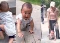 पहाड़ी सीढ़ियों पर तेजी से चढ़ता दिखा 9 महीने का बच्चा! छोटे हाथ-पैर का बड़ा हौसला देख हैरान हुए यूजर्स