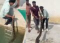 इतना लंबा अजगर देखकर रह गया हर कोई दंग, शख्स ने कुएं में उतरकर पकड़ी पूंछ और कर दिया हैरान करने वाला रेस्क्यू