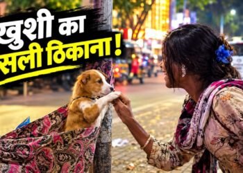 इंटरनेट पर छाया मासूमियत का जादू! पिल्ले को झूला झुलाती लड़की का वीडियो देख आ जाएगा प्यार