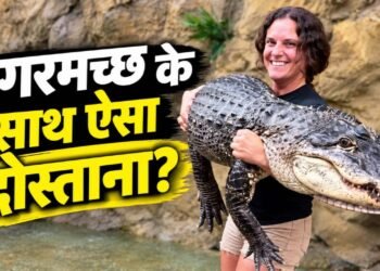 110 किलो के मगरमच्छ को गोद में ऐसे उठाया जैसे कोई खिलौना हो! महिला का यह वीडियो उड़ा देगा होश