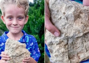 6 साल के बच्चे का कमाल! ढूंढ निकाला 20 करोड़ साल पुराना ‘रहस्यमयी जीव’