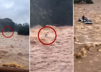 मौत को खुला चैलेंज! उफनती नदी में जेट स्की लेकर उतरा शख्स, VIDEO देख रोंगटे खड़े हो जाएंगे